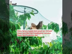 China factory supply bird-proof net Orchard Green Anti-Bird Net Polyethylene Extrusion Plastic Bird Protection Net