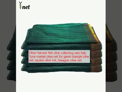 Olive Harvest Net olive collecting nets Italy Tunis market olive net for garen triangle olive net, square olive net, hexagon olive net 