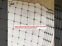mesh hole human bird control HDPE Extruded Anti Bird Net Catching Bird Mesh