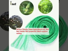 Factory Directly Green Agricultural Anti Bird Net Garden Bird protection Mesh outdoor netting 