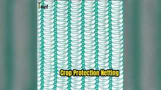 Protect Your Crops Hail Bird Damage Plant Netting