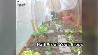 Protect Crops: HDPE Anti Hail Net for Farms