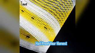 Protect Your Crops Hail Netting